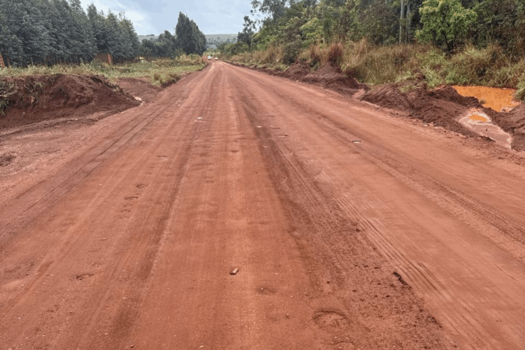 Paviemento Ecológico