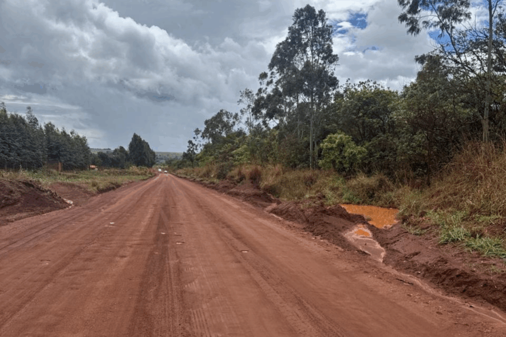 Paviemento Ecológico